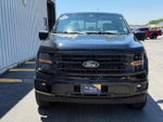 2024 F-150 Thumbnail 8