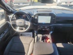 2024 F-150 Thumbnail 8