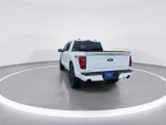 2024 F-150 Thumbnail 5