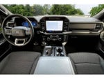2024 F-150 Thumbnail 8