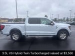 2025 F-150 Thumbnail 3