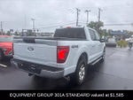 2025 F-150 Thumbnail 4