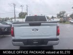 2025 F-150 Thumbnail 6
