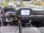 2025 F-150 Thumbnail 17