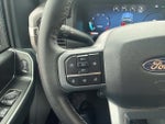 2025 F-150 Thumbnail 20