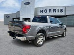 2025 F-150 Thumbnail 4