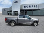 2025 F-150 Thumbnail 5