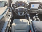 2025 F-150 Thumbnail 7