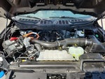 2025 F-150 Thumbnail 21