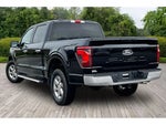 2025 F-150 Thumbnail 3