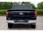 2025 F-150 Thumbnail 4