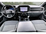 2025 F-150 Thumbnail 6