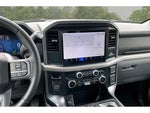 2025 F-150 Thumbnail 8