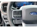 2025 F-150 Thumbnail 9