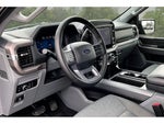 2025 F-150 Thumbnail 14