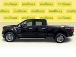 2025 F-150 Thumbnail 12
