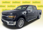 2025 F-150 Thumbnail 15