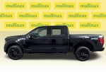 2025 F-150 Thumbnail 13
