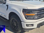 2025 F-150 Thumbnail 9