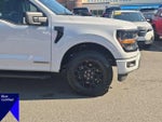 2025 F-150 Thumbnail 10