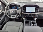 2024 F-150 Thumbnail 5