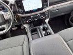 2024 F-150 Thumbnail 10