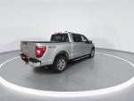 2024 F-150 Thumbnail 8