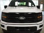 2024 F-150 Thumbnail 6