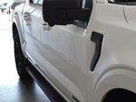 2024 F-150 Thumbnail 8