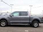 2024 F-150 Thumbnail 4