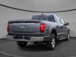 2024 F-150 Thumbnail 2