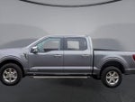 2024 F-150 Thumbnail 8