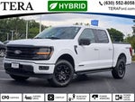 2024 F-150 Thumbnail 2