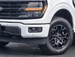 2024 F-150 Thumbnail 3