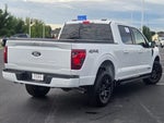 2024 F-150 Thumbnail 12