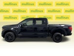 2024 F-150 Thumbnail 12