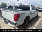 2024 F-150 Thumbnail 4