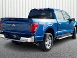2024 F-150 Thumbnail 12