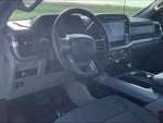 2024 F-150 Thumbnail 13