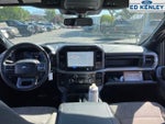 2024 F-150 Thumbnail 8