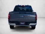 2024 F-150 Thumbnail 5