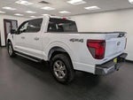 2024 F-150 Thumbnail 4