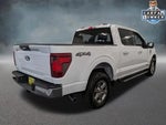 2024 F-150 Thumbnail 4