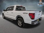 2024 F-150 Thumbnail 6