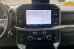 2024 F-150 Thumbnail 6
