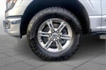 2024 F-150 Thumbnail 10