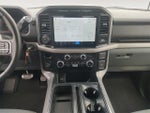 2024 F-150 Thumbnail 11