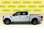 2024 F-150 Thumbnail 12
