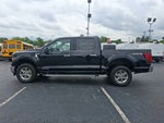 2024 F-150 Thumbnail 6