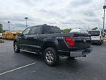 2024 F-150 Thumbnail 7
